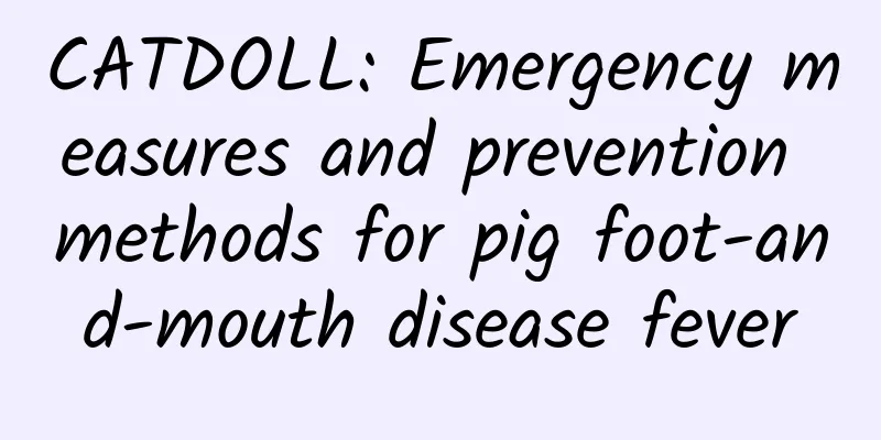 CATDOLL: Emergency measures and prevention methods for pig foot-and-mouth disease fever
