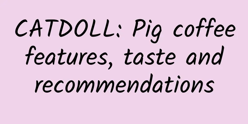 CATDOLL: Pig coffee features, taste and recommendations