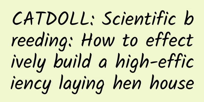 CATDOLL: Scientific breeding: How to effectively build a high-efficiency laying hen house