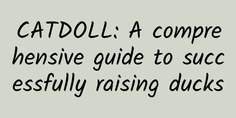CATDOLL: A comprehensive guide to successfully raising ducks