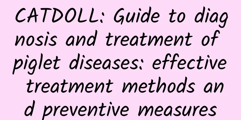 CATDOLL: Guide to diagnosis and treatment of piglet diseases: effective treatment methods and preventive measures
