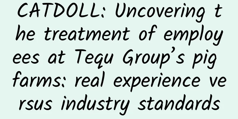 CATDOLL: Uncovering the treatment of employees at Tequ Group’s pig farms: real experience versus industry standards
