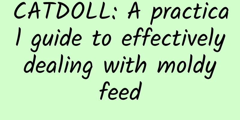 CATDOLL: A practical guide to effectively dealing with moldy feed