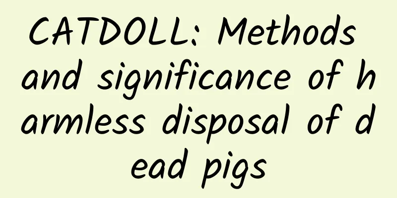 CATDOLL: Methods and significance of harmless disposal of dead pigs