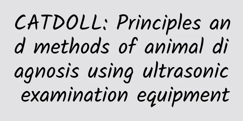 CATDOLL: Principles and methods of animal diagnosis using ultrasonic examination equipment