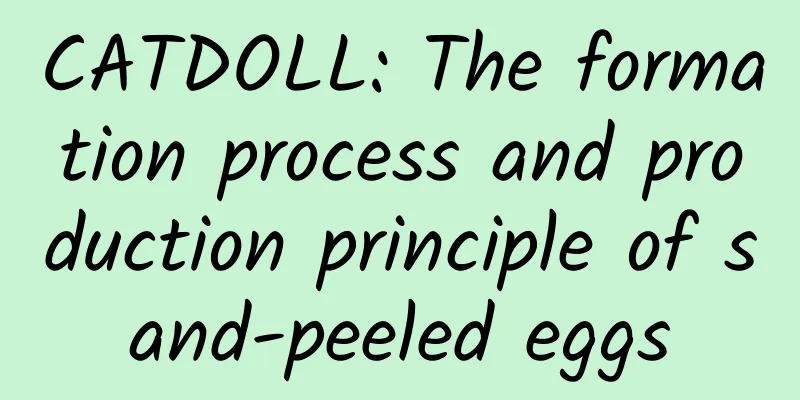 CATDOLL: The formation process and production principle of sand-peeled eggs