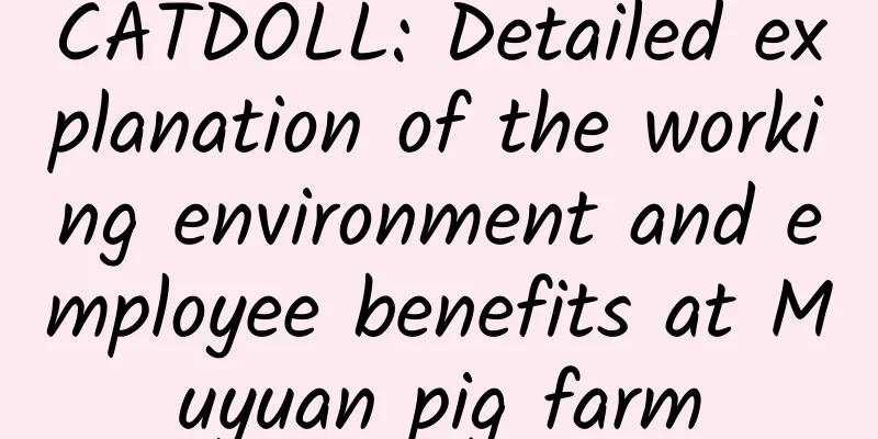 CATDOLL: Detailed explanation of the working environment and employee benefits at Muyuan pig farm