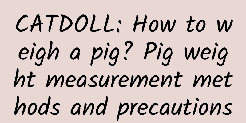 CATDOLL: How to weigh a pig? Pig weight measurement methods and precautions