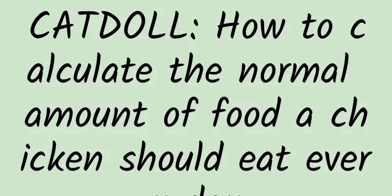 CATDOLL: How to calculate the normal amount of food a chicken should eat every day