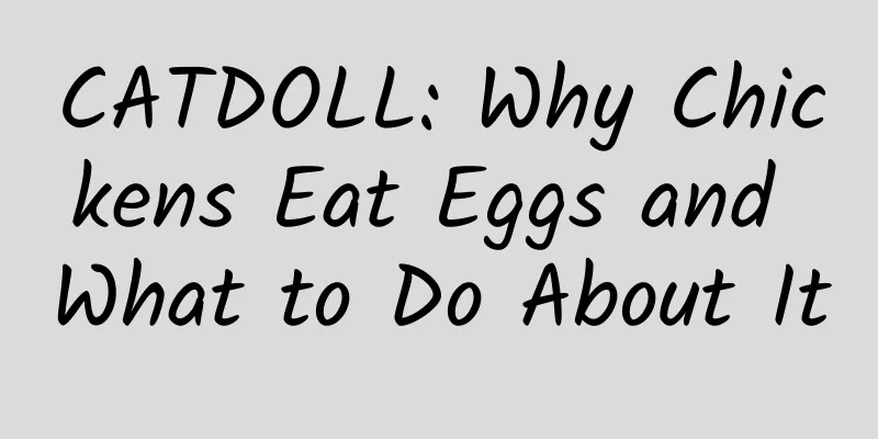 CATDOLL: Why Chickens Eat Eggs and What to Do About It