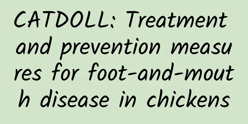 CATDOLL: Treatment and prevention measures for foot-and-mouth disease in chickens