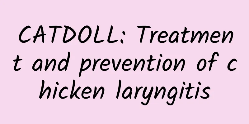 CATDOLL: Treatment and prevention of chicken laryngitis