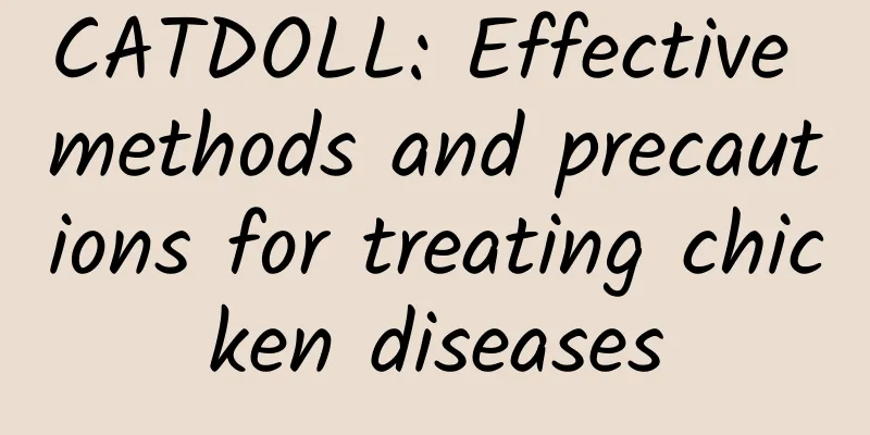 CATDOLL: Effective methods and precautions for treating chicken diseases
