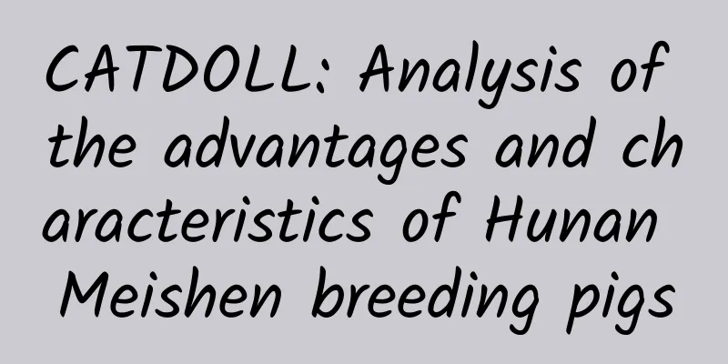 CATDOLL: Analysis of the advantages and characteristics of Hunan Meishen breeding pigs