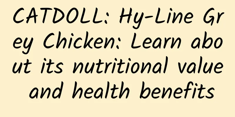 CATDOLL: Hy-Line Grey Chicken: Learn about its nutritional value and health benefits