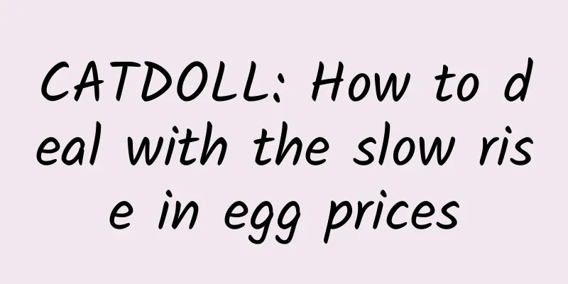 CATDOLL: How to deal with the slow rise in egg prices