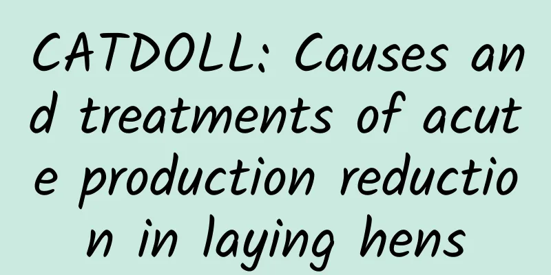 CATDOLL: Causes and treatments of acute production reduction in laying hens