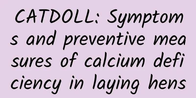 CATDOLL: Symptoms and preventive measures of calcium deficiency in laying hens