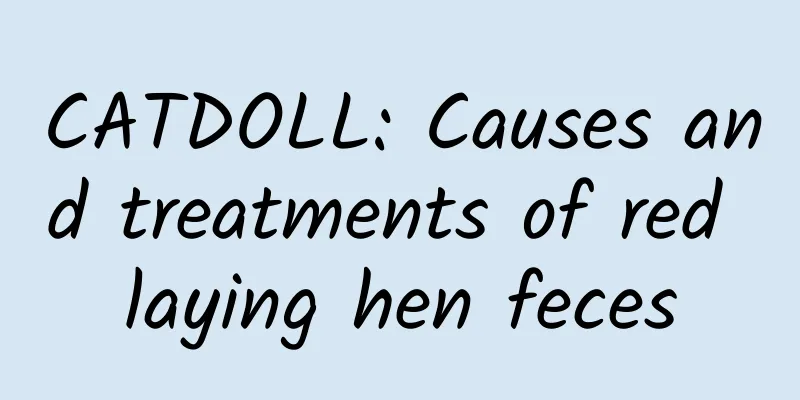 CATDOLL: Causes and treatments of red laying hen feces