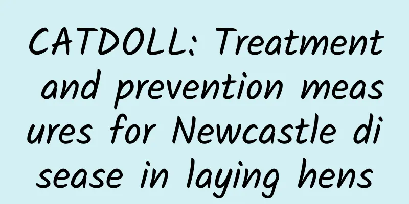 CATDOLL: Treatment and prevention measures for Newcastle disease in laying hens