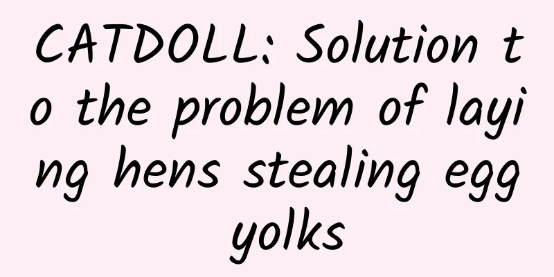 CATDOLL: Solution to the problem of laying hens stealing egg yolks