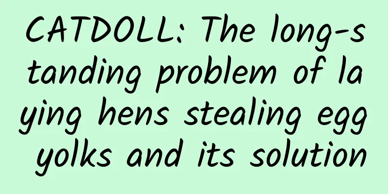 CATDOLL: The long-standing problem of laying hens stealing egg yolks and its solution