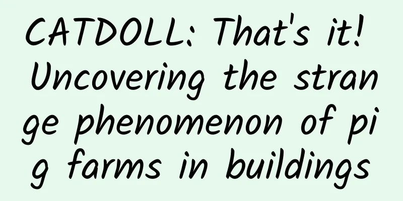 CATDOLL: That's it! Uncovering the strange phenomenon of pig farms in buildings