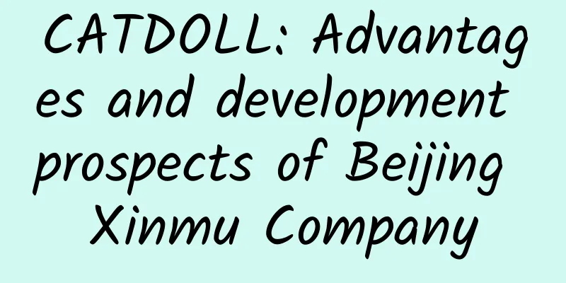CATDOLL: Advantages and development prospects of Beijing Xinmu Company