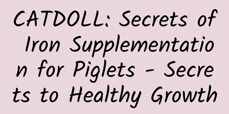 CATDOLL: Secrets of Iron Supplementation for Piglets - Secrets to Healthy Growth