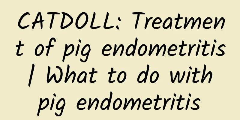 CATDOLL: Treatment of pig endometritis | What to do with pig endometritis