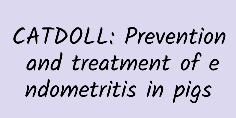 CATDOLL: Prevention and treatment of endometritis in pigs