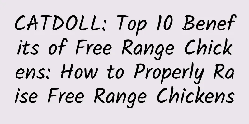 CATDOLL: Top 10 Benefits of Free Range Chickens: How to Properly Raise Free Range Chickens