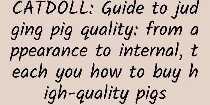 CATDOLL: Guide to judging pig quality: from appearance to internal, teach you how to buy high-quality pigs
