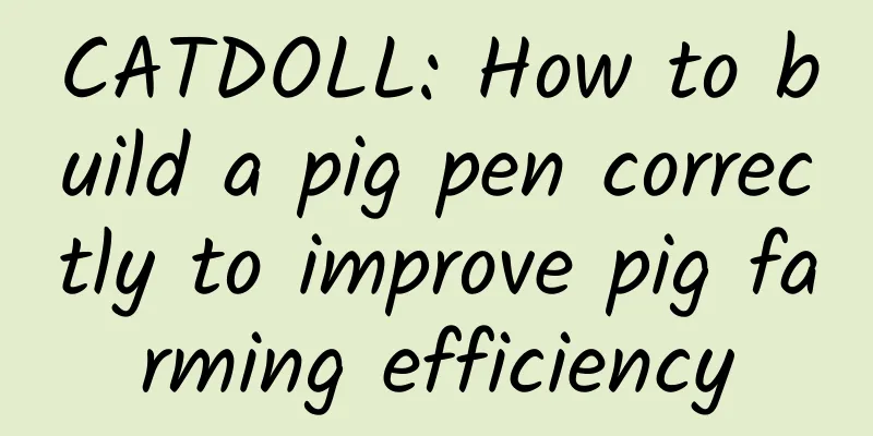 CATDOLL: How to build a pig pen correctly to improve pig farming efficiency
