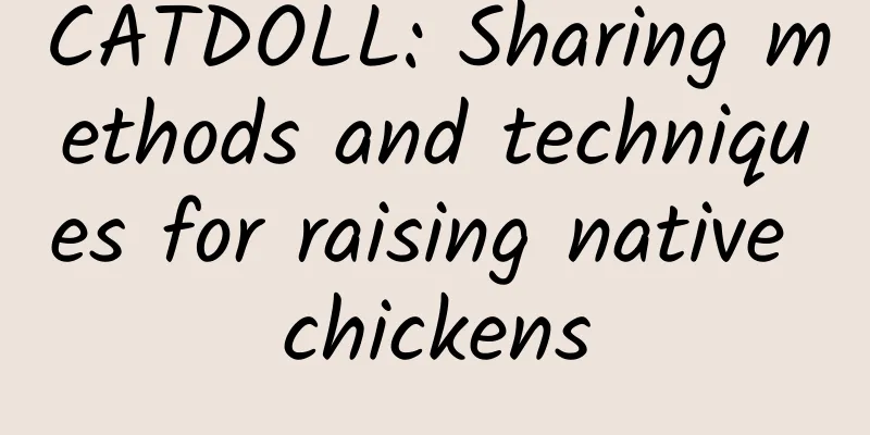 CATDOLL: Sharing methods and techniques for raising native chickens