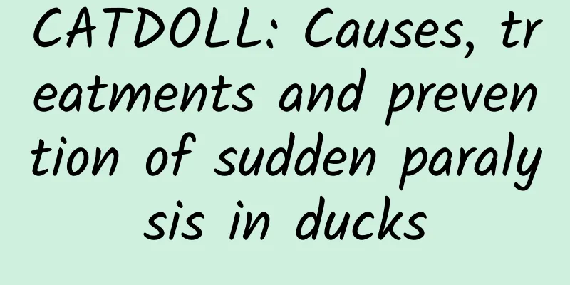 CATDOLL: Causes, treatments and prevention of sudden paralysis in ducks