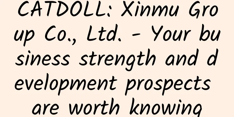 CATDOLL: Xinmu Group Co., Ltd. - Your business strength and development prospects are worth knowing