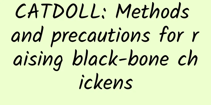 CATDOLL: Methods and precautions for raising black-bone chickens