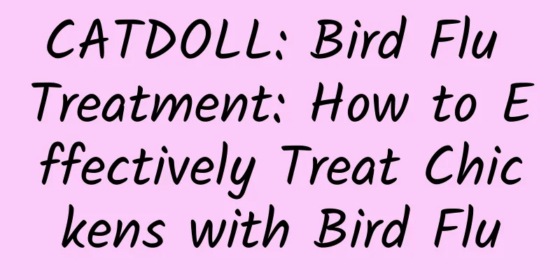 CATDOLL: Bird Flu Treatment: How to Effectively Treat Chickens with Bird Flu