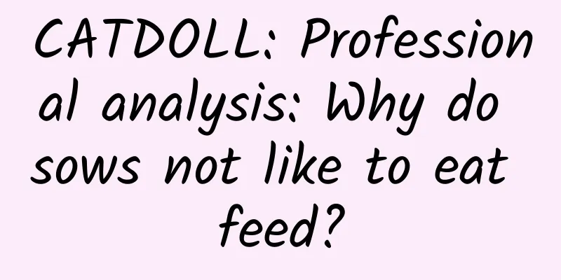 CATDOLL: Professional analysis: Why do sows not like to eat feed?