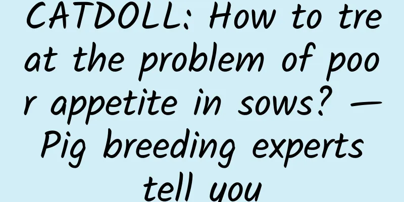 CATDOLL: How to treat the problem of poor appetite in sows? — Pig breeding experts tell you