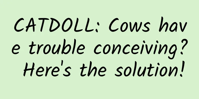 CATDOLL: Cows have trouble conceiving? Here's the solution!