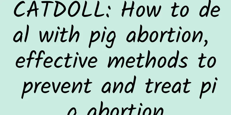 CATDOLL: How to deal with pig abortion, effective methods to prevent and treat pig abortion