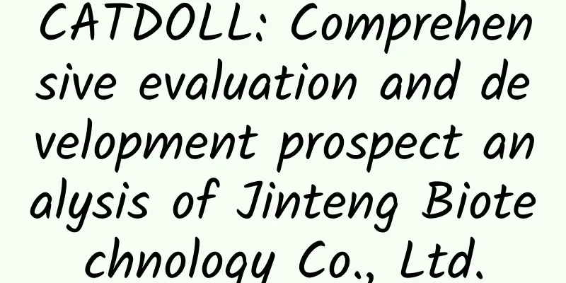 CATDOLL: Comprehensive evaluation and development prospect analysis of Jinteng Biotechnology Co., Ltd.