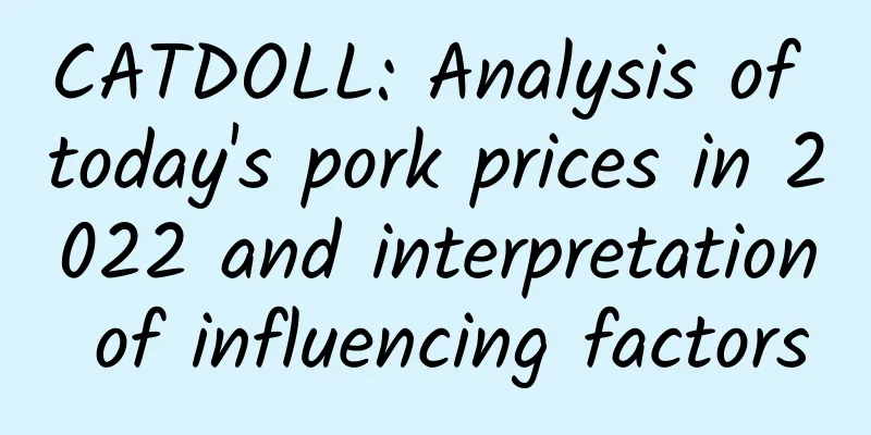 CATDOLL: Analysis of today's pork prices in 2022 and interpretation of influencing factors