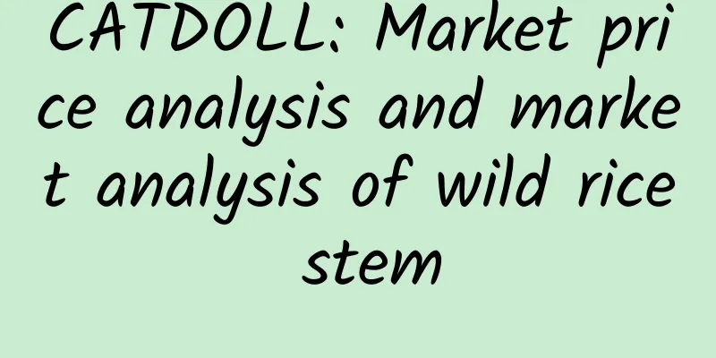 CATDOLL: Market price analysis and market analysis of wild rice stem