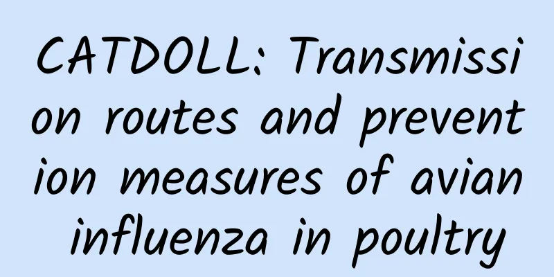 CATDOLL: Transmission routes and prevention measures of avian influenza in poultry