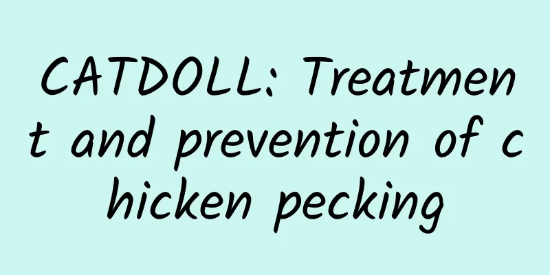 CATDOLL: Treatment and prevention of chicken pecking