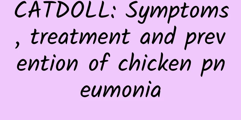 CATDOLL: Symptoms, treatment and prevention of chicken pneumonia