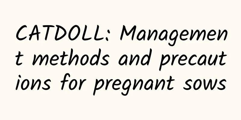 CATDOLL: Management methods and precautions for pregnant sows